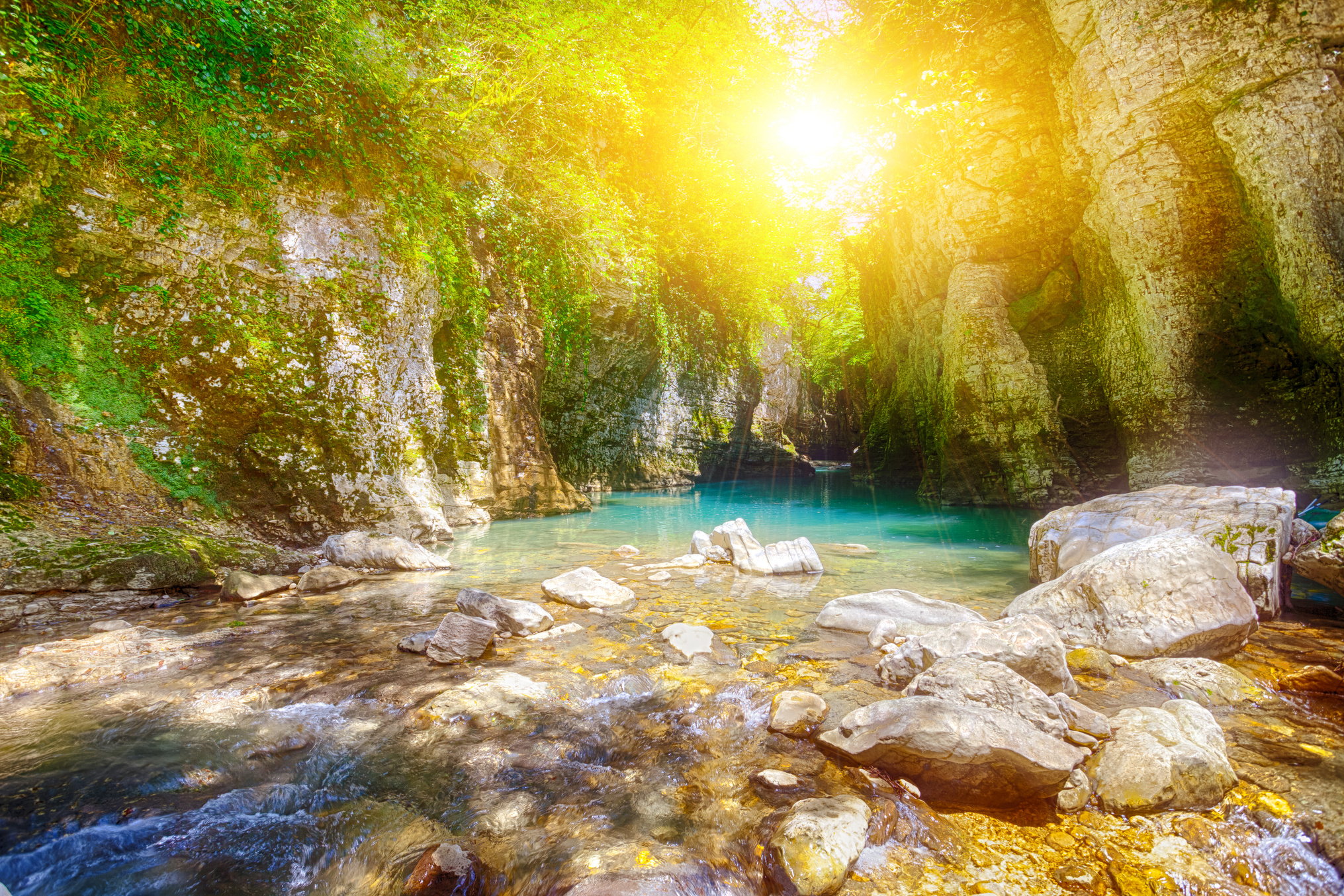 Serene Canyon River